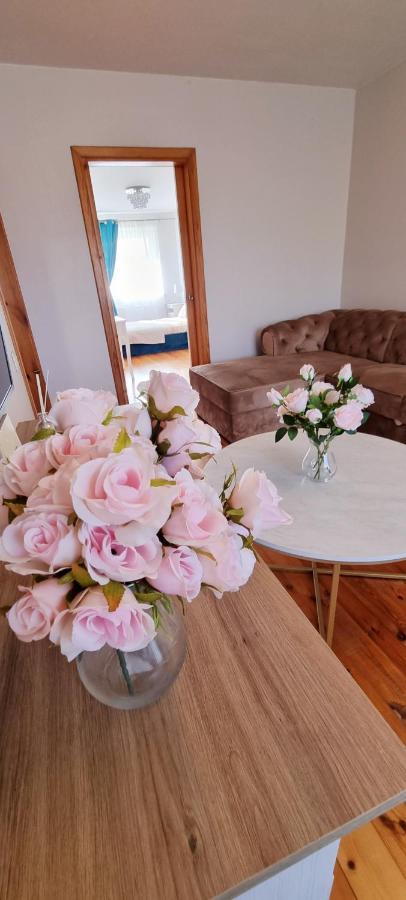 Jaukus Apartamentai Miesto Centre シャウレイ エクステリア 写真